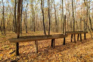 Природный Парк "Муромский Лес" image