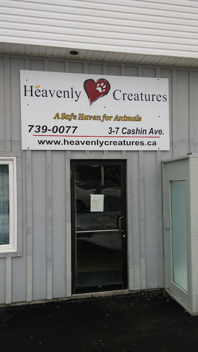 Heavenly Creatures Inc
