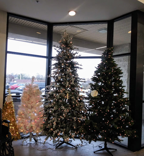 Discount Store «Bargain Hunt», reviews and photos, 3137 Dixie Hwy, Erlanger, KY 41018, USA