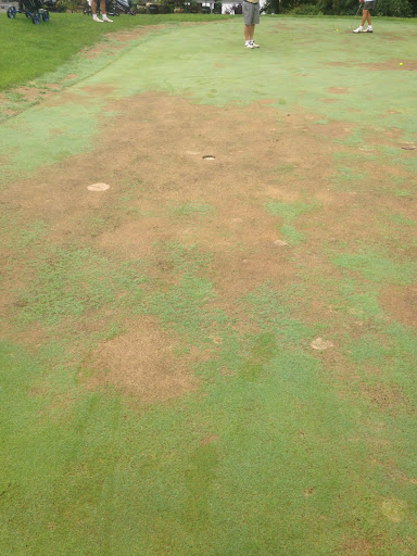 Public Golf Course «Mississippi Dunes Golf Links», reviews and photos, 10351 Grey Cloud Trail S, Cottage Grove, MN 55016, USA