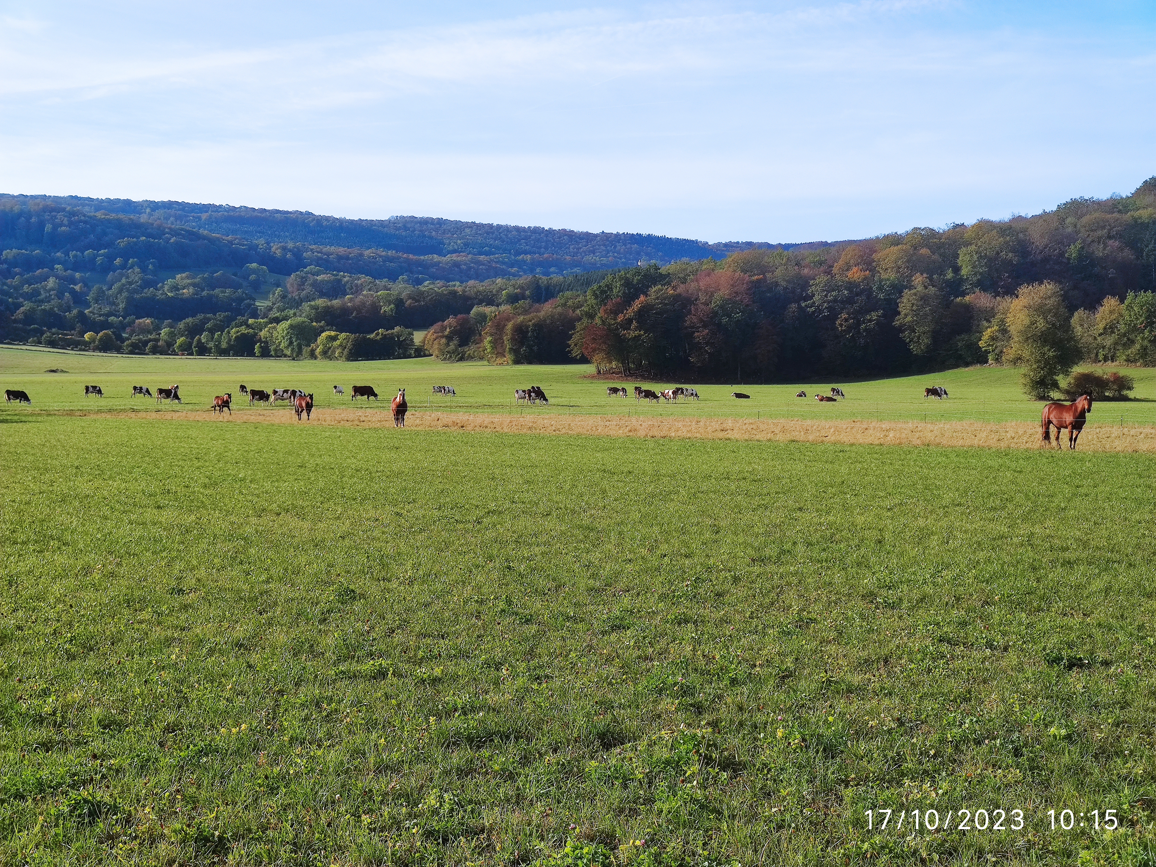 Photo n° 38 de l'avis de Patrick.i fait le 12/12/2023 à 10:07