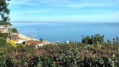 Pinasse de Piquey - Laurent Pevrol à Lège-Cap-Ferret