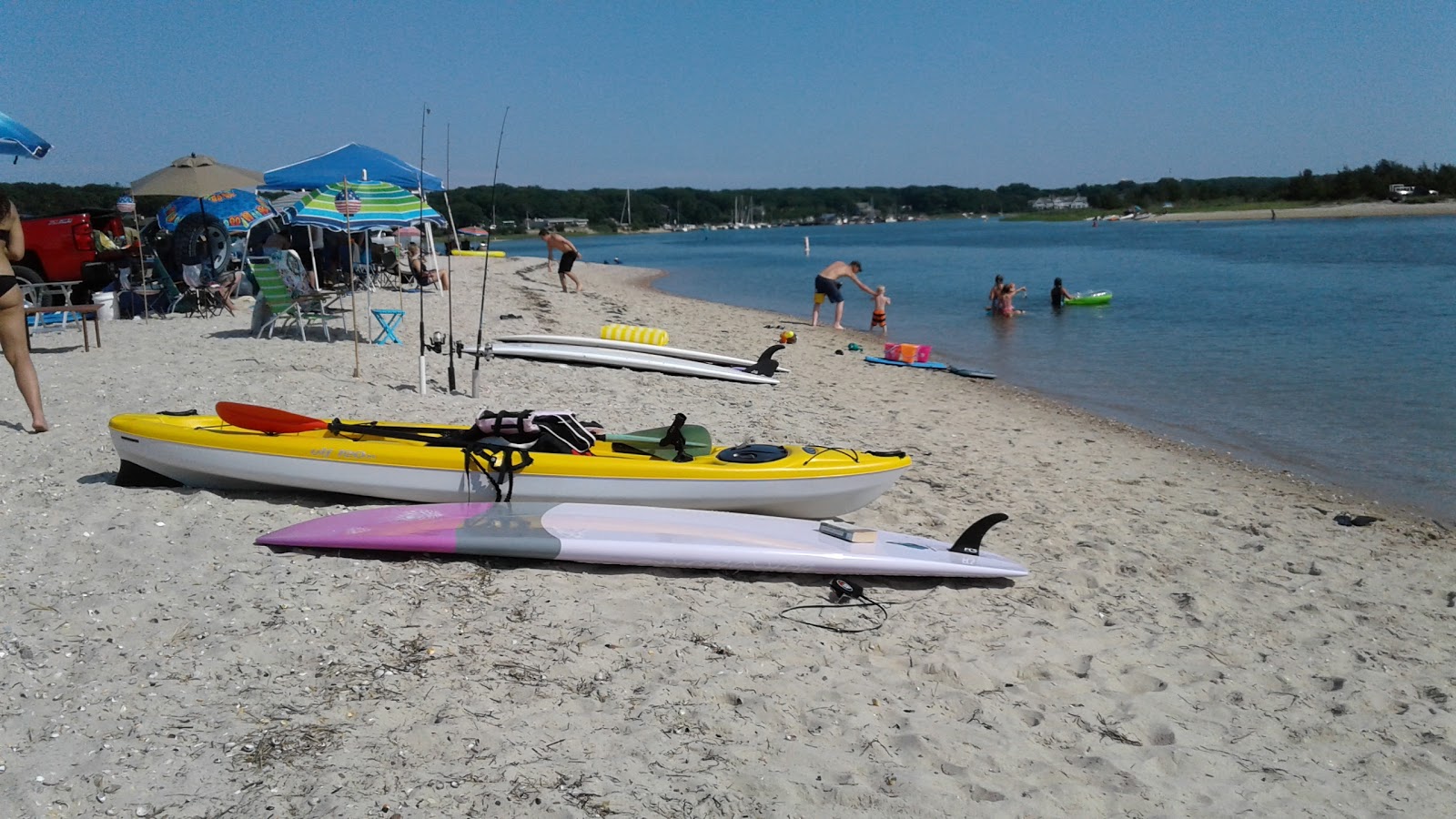 Foto von Maidstone Beach befindet sich in natürlicher umgebung