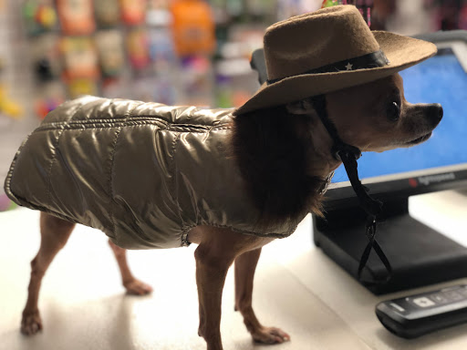 Pet Supply Store «Sonoma Pet and Aquatics», reviews and photos, 201 W Napa St #7, Sonoma, CA 95476, USA