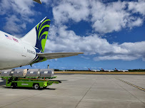 Aloha Air Cargo - Photo 9 - Car repair in Honolulu, HI, Kailua
