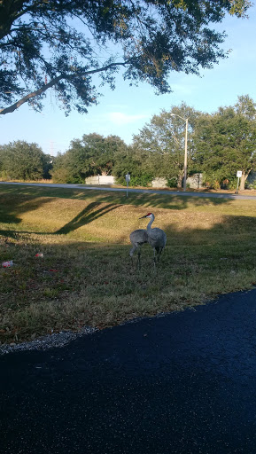Bowling Alley «Brandon Crossroads Bowl», reviews and photos, 609 Crater Ln, Tampa, FL 33619, USA