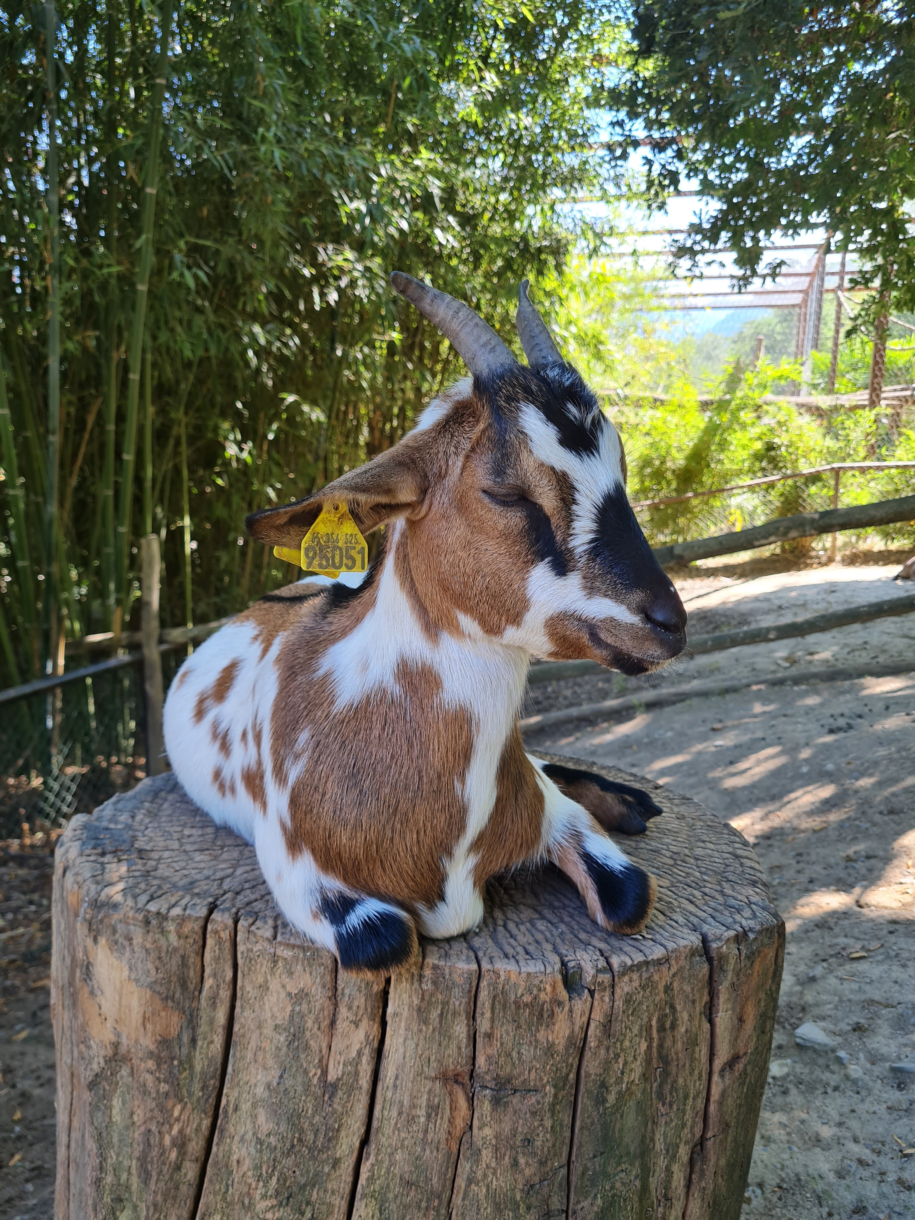 Photo n° 12 de l'avis de Marjo.e fait le 29/08/2021 à 18:20