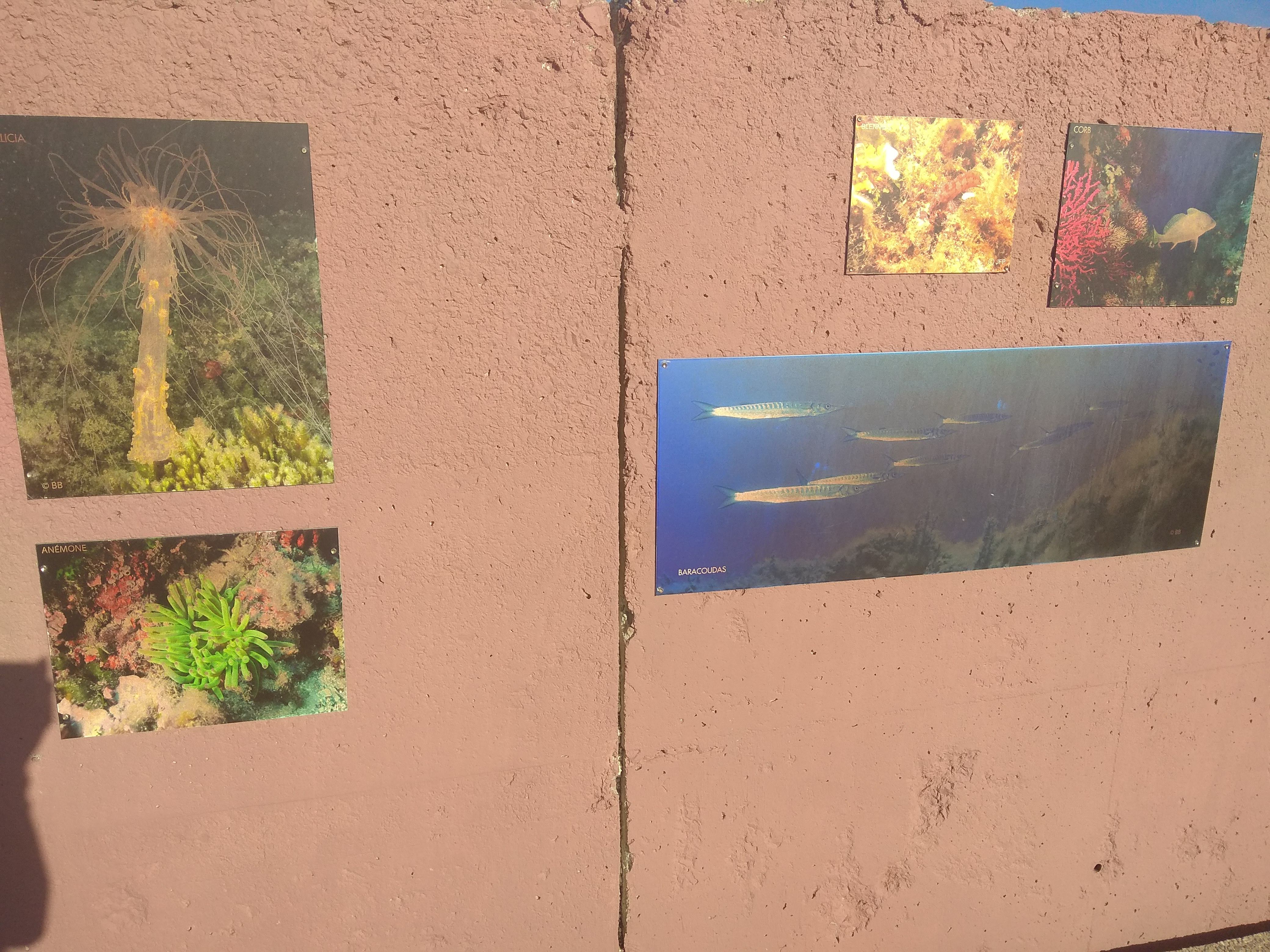 Photo n° 15 de l'avis de Emmanuel.h fait le 05/06/2019 à 10:44