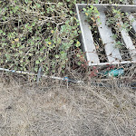 Photo n°3 de l'avis de J... fait le 06/09/2021 à 17:30 sur le  Su Meriacru | Cucina Identitaria à Siniscola