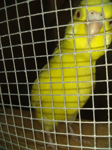 Used Book Store «Books-N-Things», reviews and photos, 523 N 1st St, Harlingen, TX 78550, USA