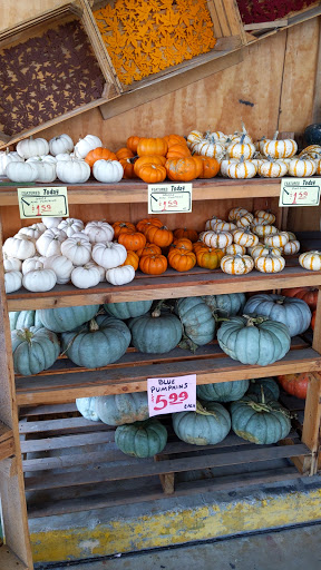 Produce Market «Chicho Boys Fruit Market», reviews and photos, 1631 S Laredo St, San Antonio, TX 78207, USA