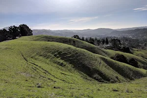 Orinda Oaks Park image