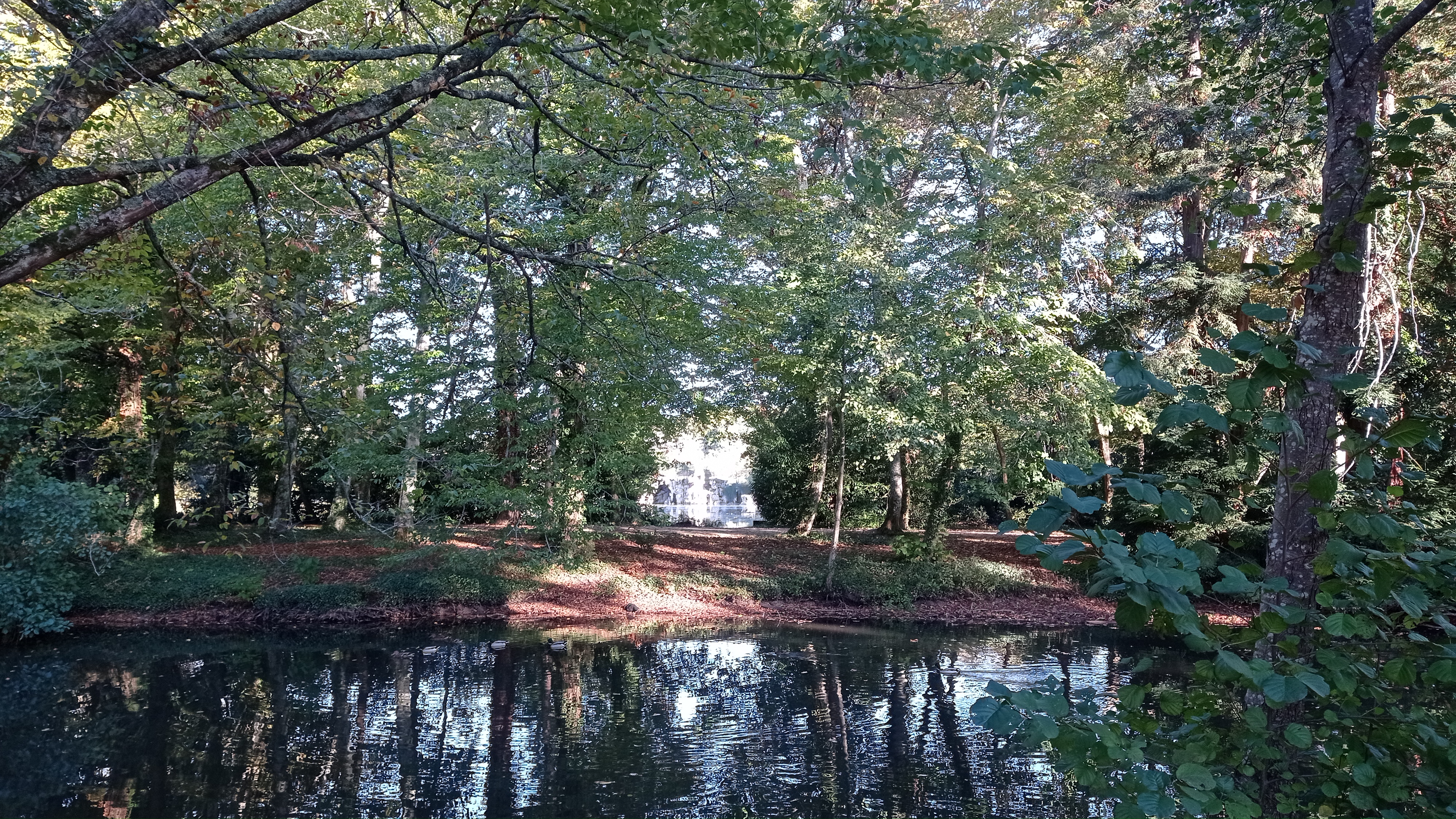 Photo n° 2 de l'avis de Gaia.e fait le 30/10/2022 à 19:45