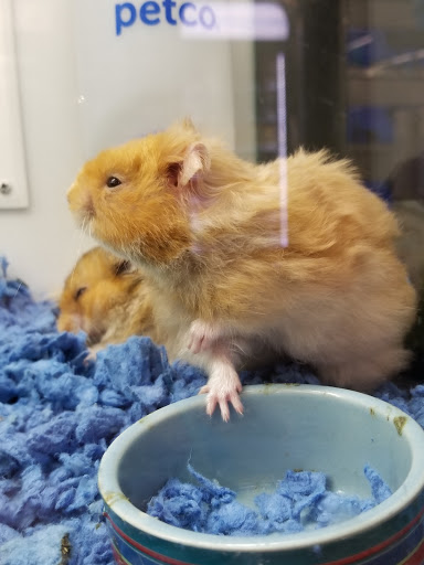 Pet Supply Store «Petco Animal Supplies», reviews and photos, 28400 Dequindre Rd, Warren, MI 48092, USA