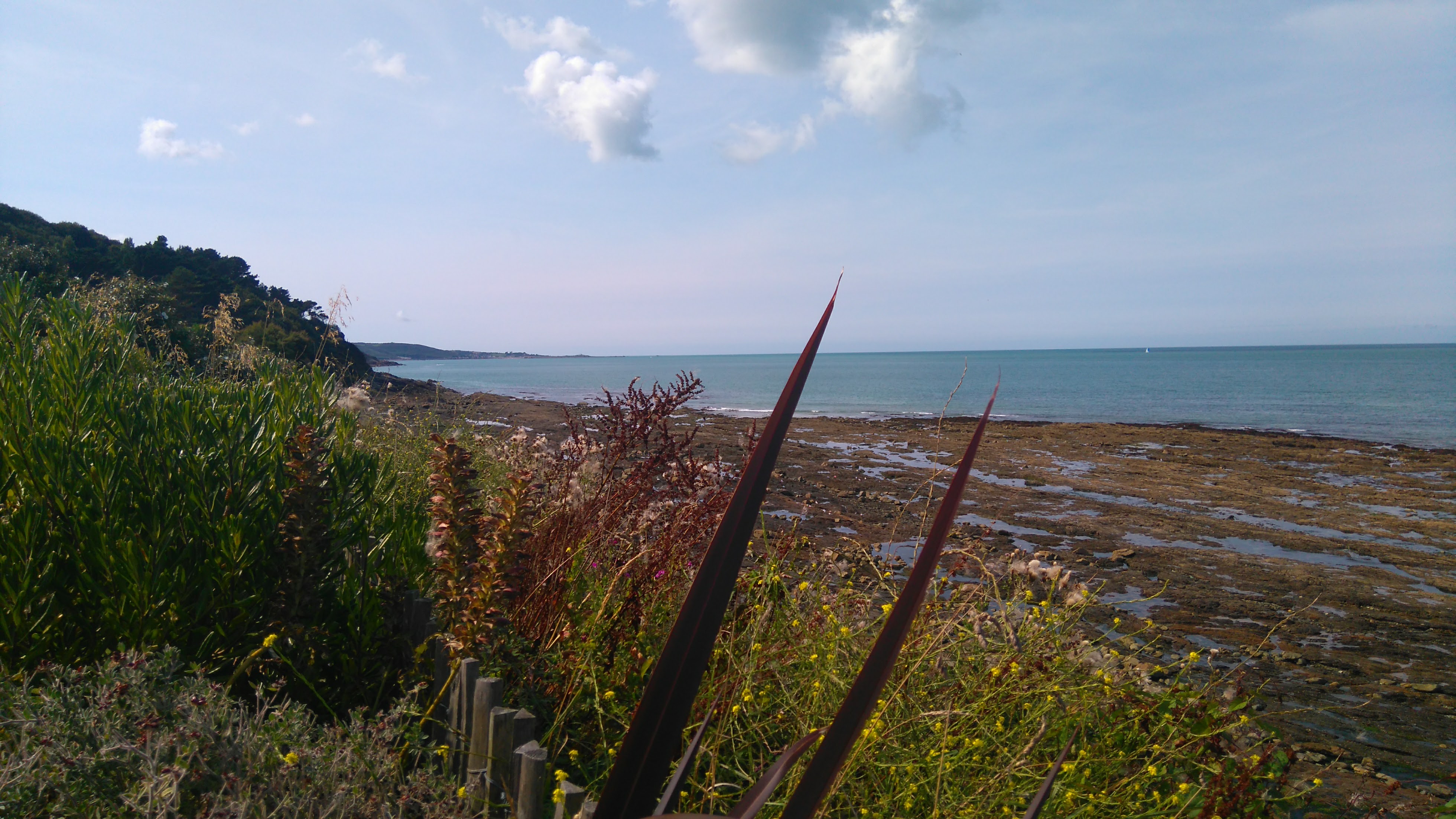 Photo n° 6 de l'avis de Viviane.u fait le 31/08/2017 à 07:17