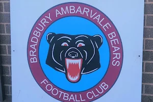 Bradbury Ambarvale Football Club image