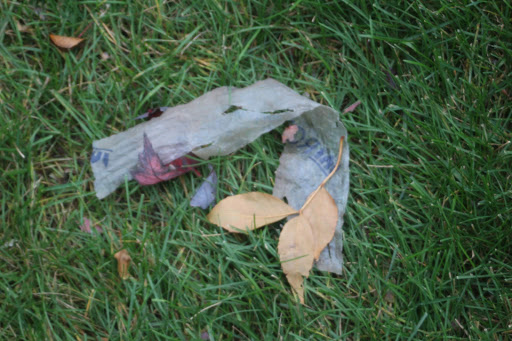 Municipality «Country Lakes Park», reviews and photos, 1835 N Aurora Rd, Naperville, IL 60563, USA