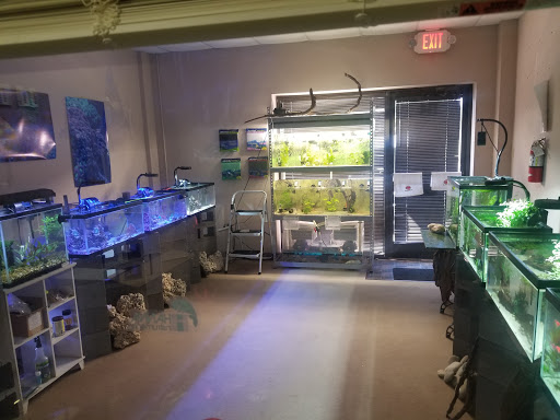 Aquariums Maintained by Andy