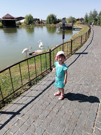 Used Car Dealer «Nacmias Auto Sales», reviews and photos, 1204 Coney Island Ave, Brooklyn, NY 11230, USA