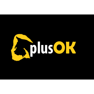 Logo da empresa - Plus OK - Criação de Sites Florianópolis