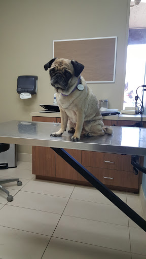 Surfside Animal Hospital image