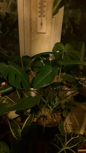 Florist «Blossom Shop», reviews and photos, 138 Orange St, New Haven, CT 06510, USA