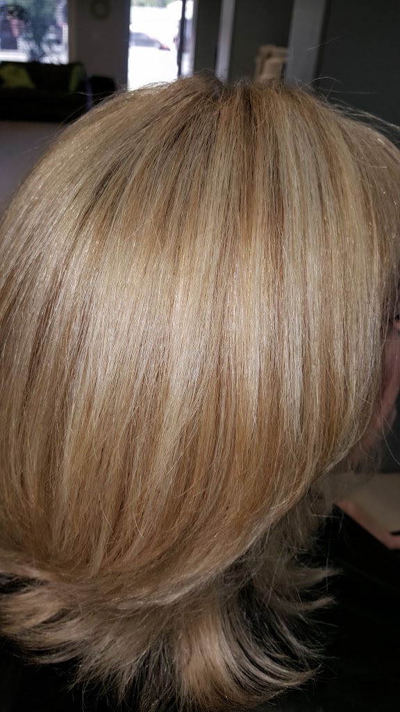 David's Salon Orlando, FL 32806 Services and Reviews