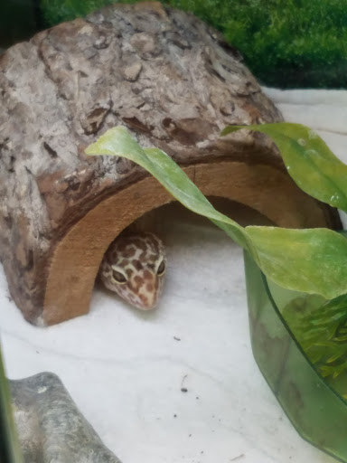 Pet Store «Tanks Pet Supply», reviews and photos, 628 S Main St, Princeton, IL 61356, USA