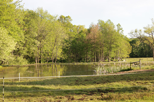 Nature Preserve «Sadsbury Woods Preserve», reviews and photos, Ramblewood Dr & Northwood Dr, Coatesville, PA 19320, USA