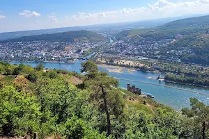 Niederwald in Rudesheim image