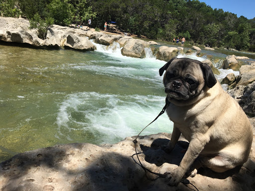 Bark Busters of Austin South