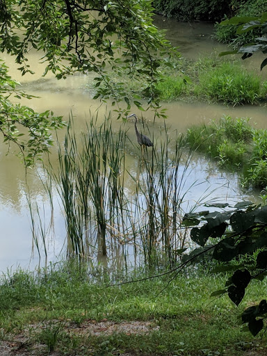 Auditorium «Southgate Community Center», reviews and photos, 301 W Walnut St, Southgate, KY 41071, USA