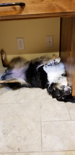 Craft Store «Hobby Lobby», reviews and photos, 920 S Monaco Pkwy, Denver, CO 80224, USA