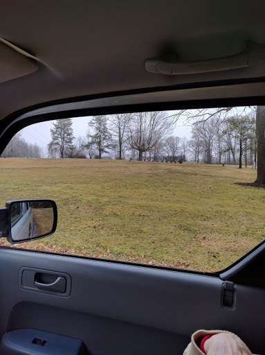 Golf Course «Lake of the Woods Golf Course», reviews and photos, 405 N Lake of the Woods Rd, Mahomet, IL 61853, USA