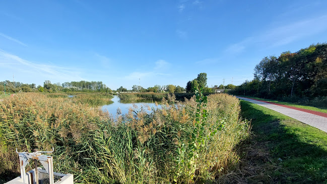 Záportározó Tó - Szórakozóhely