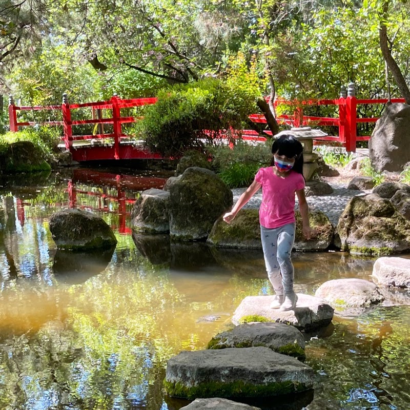 Japanese Garden in Micke Grove Park
