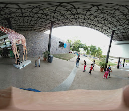 Zoológico de Culiacán photo