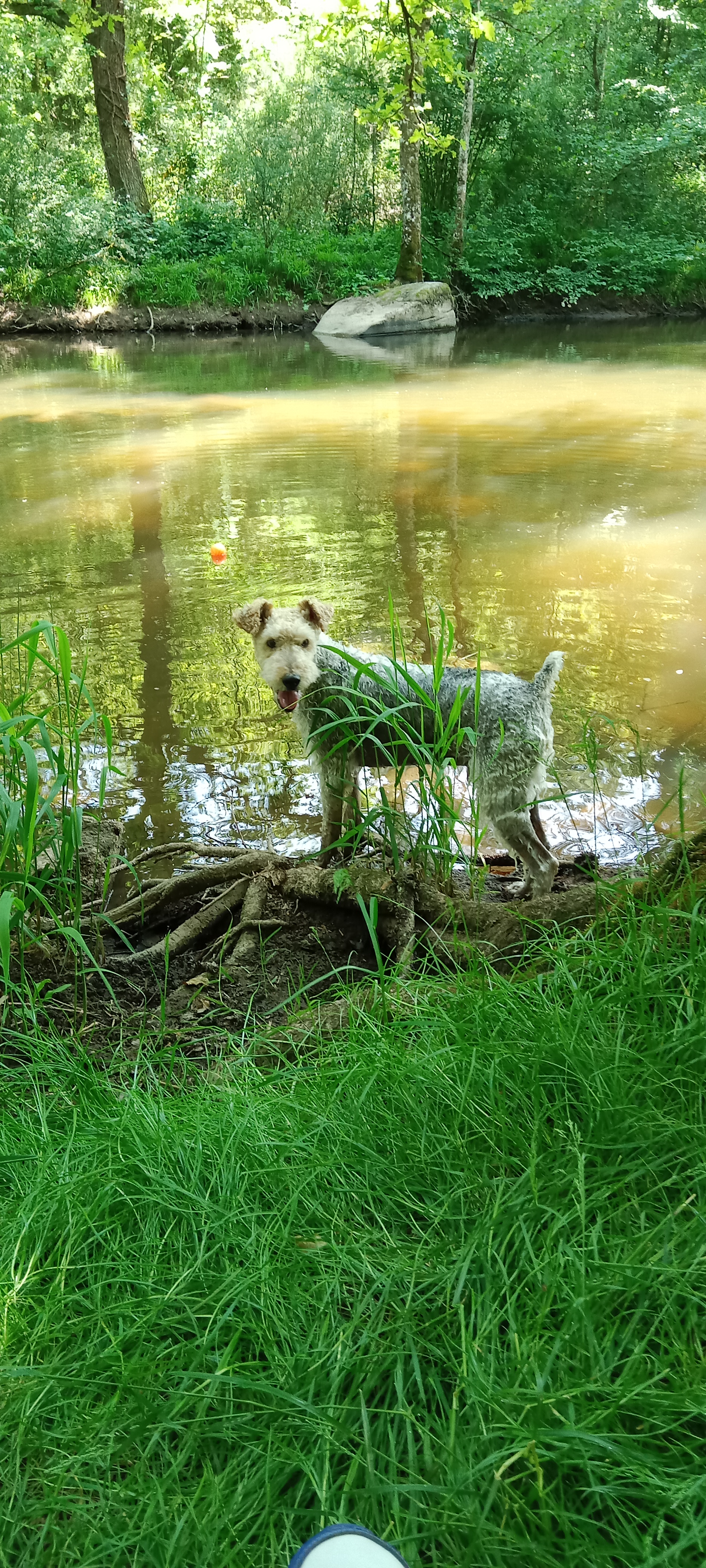 Photo n° 7 de l'avis de Sébastien.h fait le 28/05/2023 à 18:59
