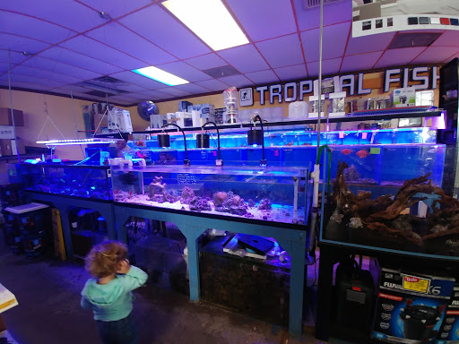 Aquarium Shop «Total Fish & Pets», reviews and photos, 137 Valley Blvd, Alhambra, CA 91801, USA