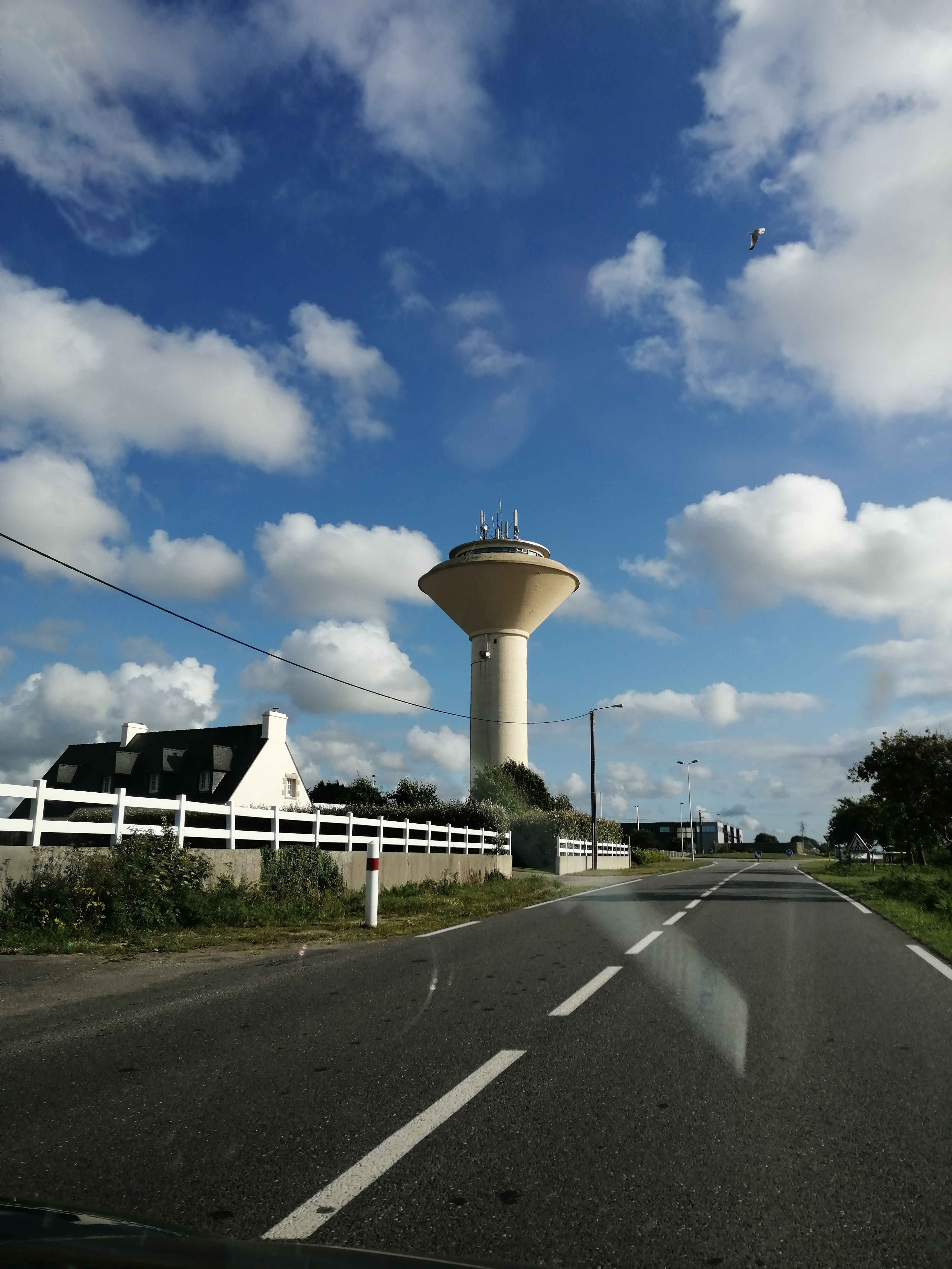 Photo n° 1 de l'avis de fourteau.a fait le 11/08/2021 à 13:59