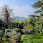 Photo n°1 de l'avis de Werner.o fait le 13/05/2023 à 17:57 sur le  La Corte Dei Limoni à Caprino Veronese