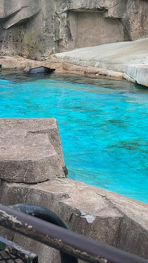 Zoo «Milwaukee County Zoo», reviews and photos, 10001 W Bluemound Rd, Milwaukee, WI 53226, USA