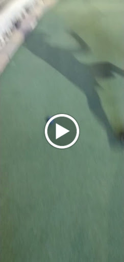 Amusement Park «Gravity Park», reviews and photos, 106 W Marlin St, South Padre Island, TX 78597, USA