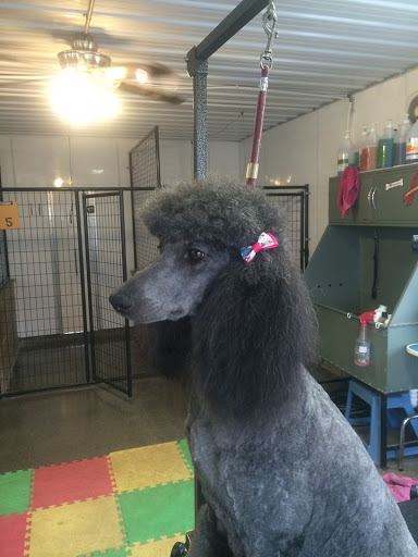 McJare's Puppy Palace