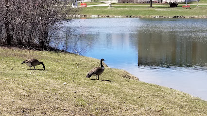 Wood Hospital Pond