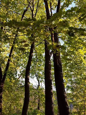 Kleinstuck Preserve - photo 30