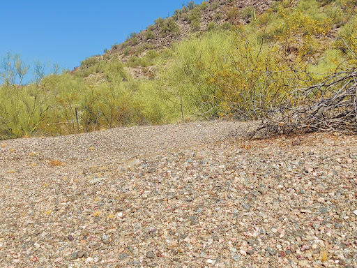 Nature Preserve «Cave Buttes Recreation Area», reviews and photos, N 7th St & E Happy Valley Rd, Phoenix, AZ 85024, USA