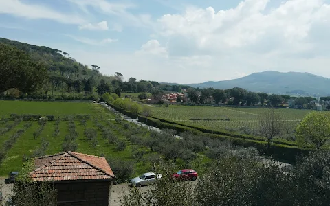 Villa Cavalletti image
