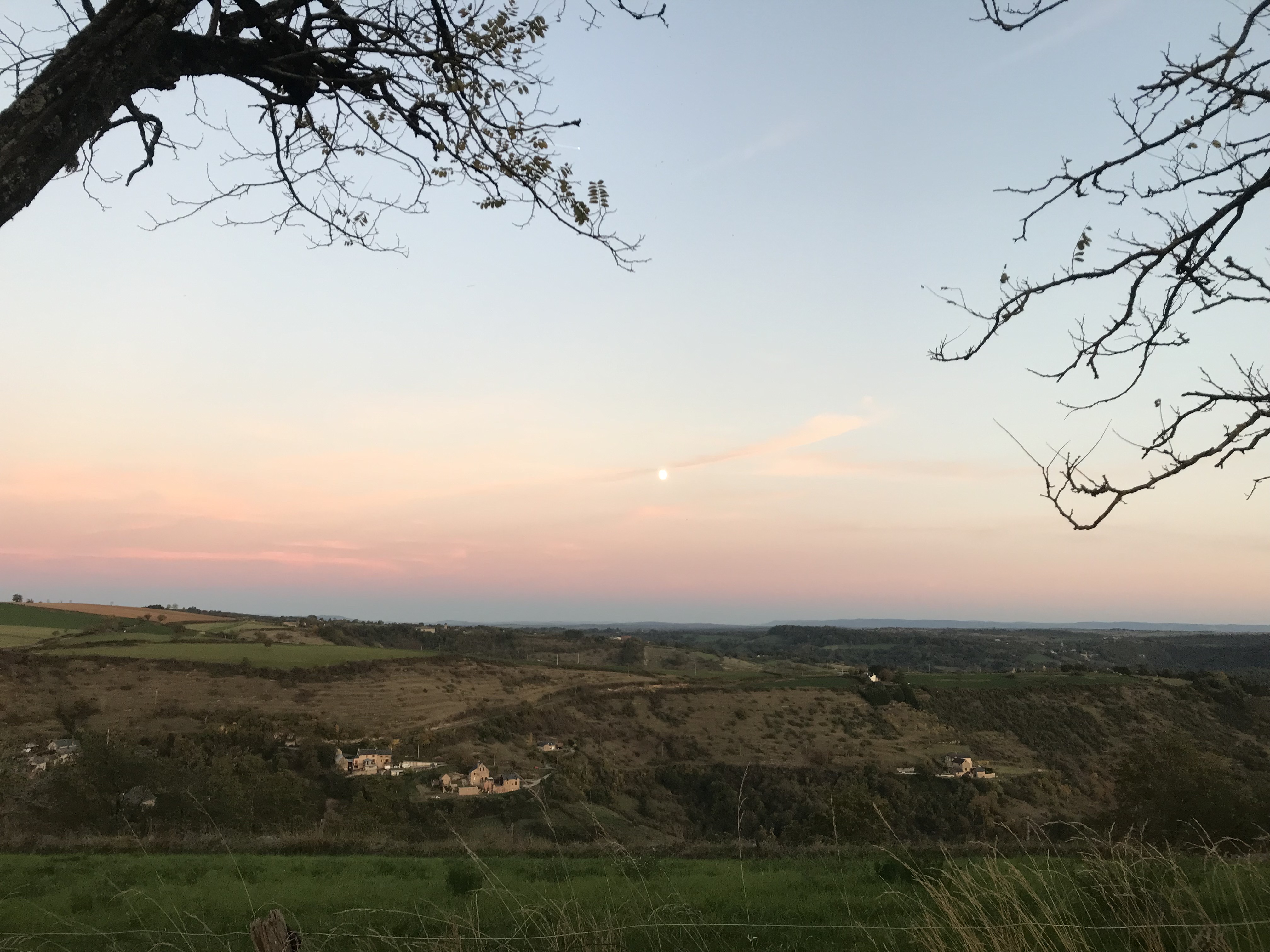Photo n° 6 de l'avis de catherine.o fait le 17/10/2021 à 20:59
