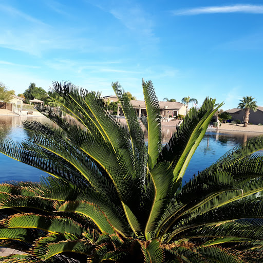 Park «Pinelake Park», reviews and photos, 598 E Crescent Way, Chandler, AZ 85249, USA